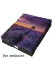 Lavender sunset