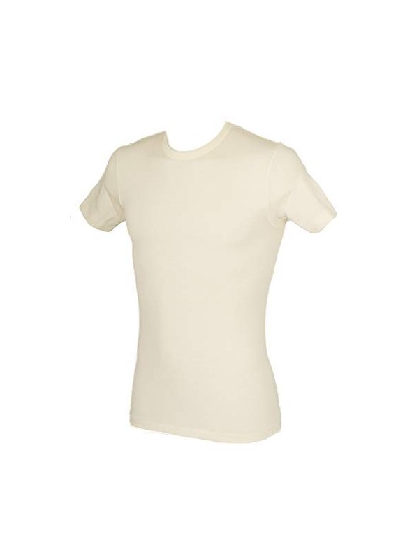 Ragno Maglia uomo in lana merino e seta art. 601597