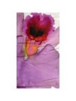 Roberto Cavalli Copriletto trapuntato leggero in raso di puro cotone made in Italy art. Foulard