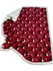 Daunex Plaid in morbido coral retro sherpa stampa cani e gatti art. Friends
